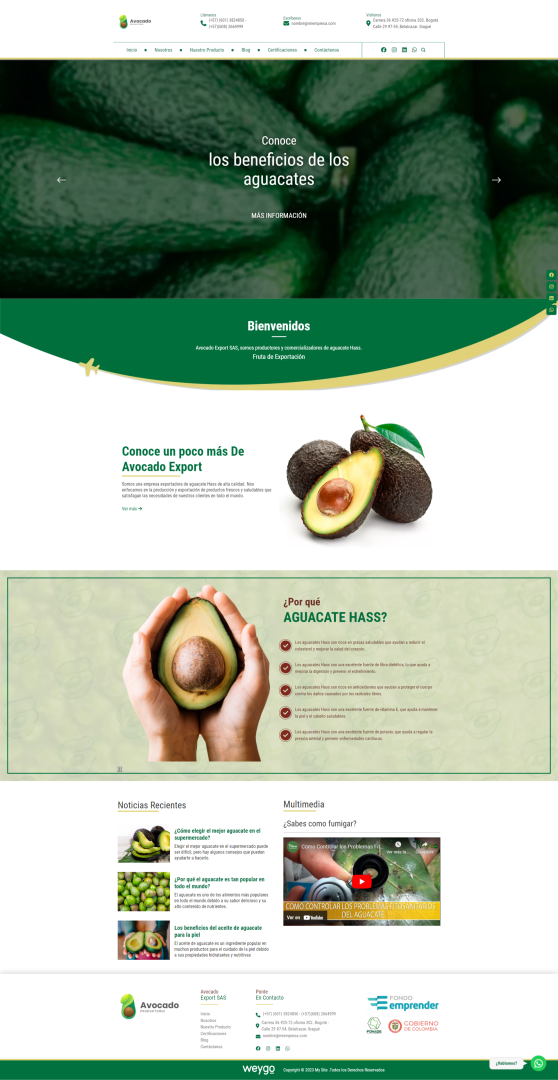 Visual de contenido simplificada